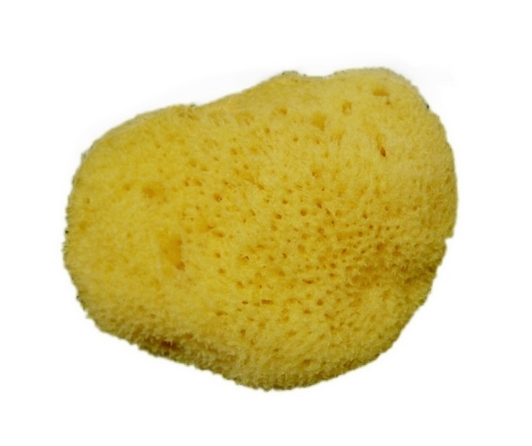 Burete menstrual natural Levantiner - mărime mare L70 - imagine 2