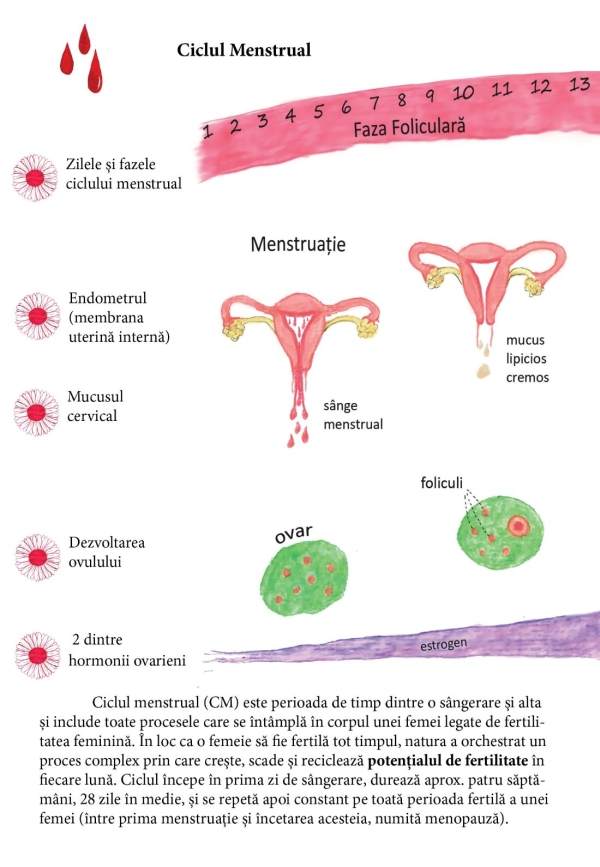 Firul Roșu: Jurnal de călătorie de la fată la femeie - imagine 10